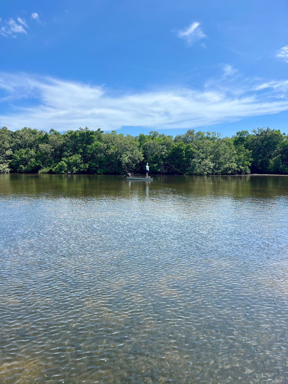 How to Choose the Right Saltwater Fly for Snook, Redfish, and Tarpon