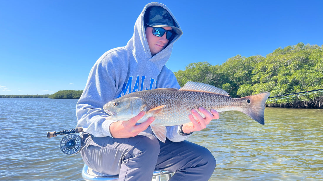 Vero Beach Redfish Report: How a Fly Change Triggered Instant Eats