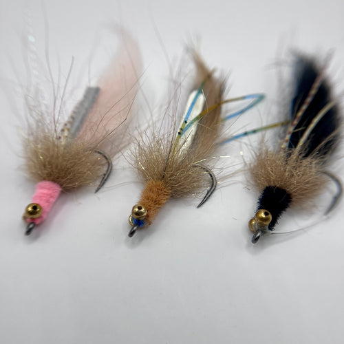 D's Turbo Shrimp