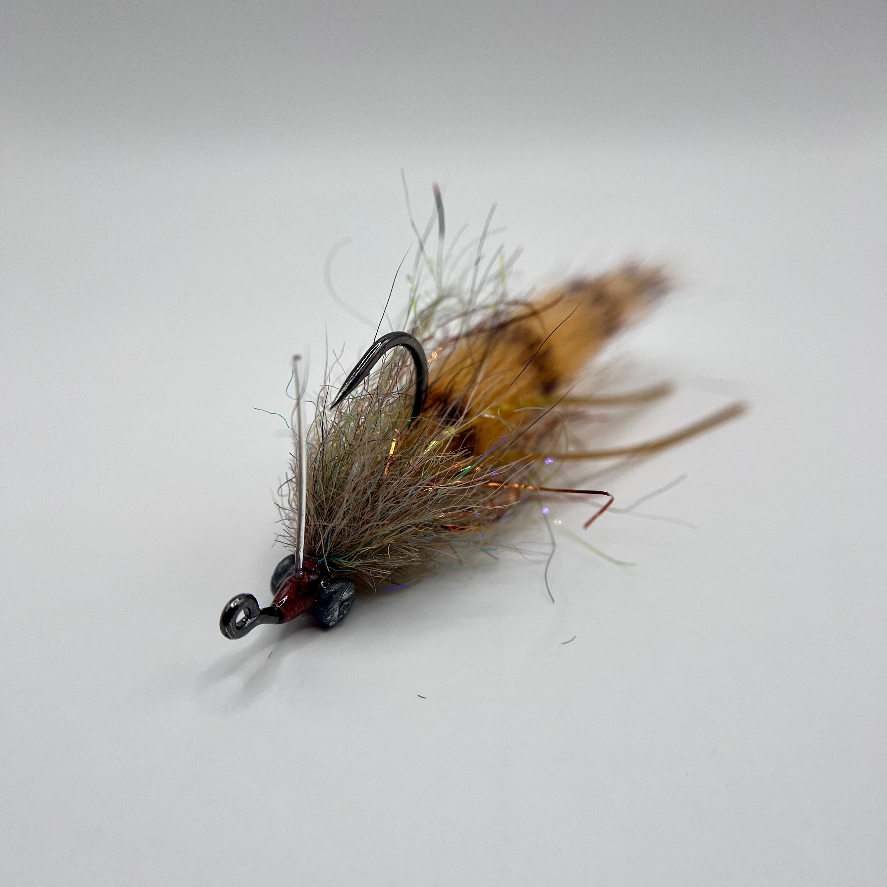 Pistol Shrimp