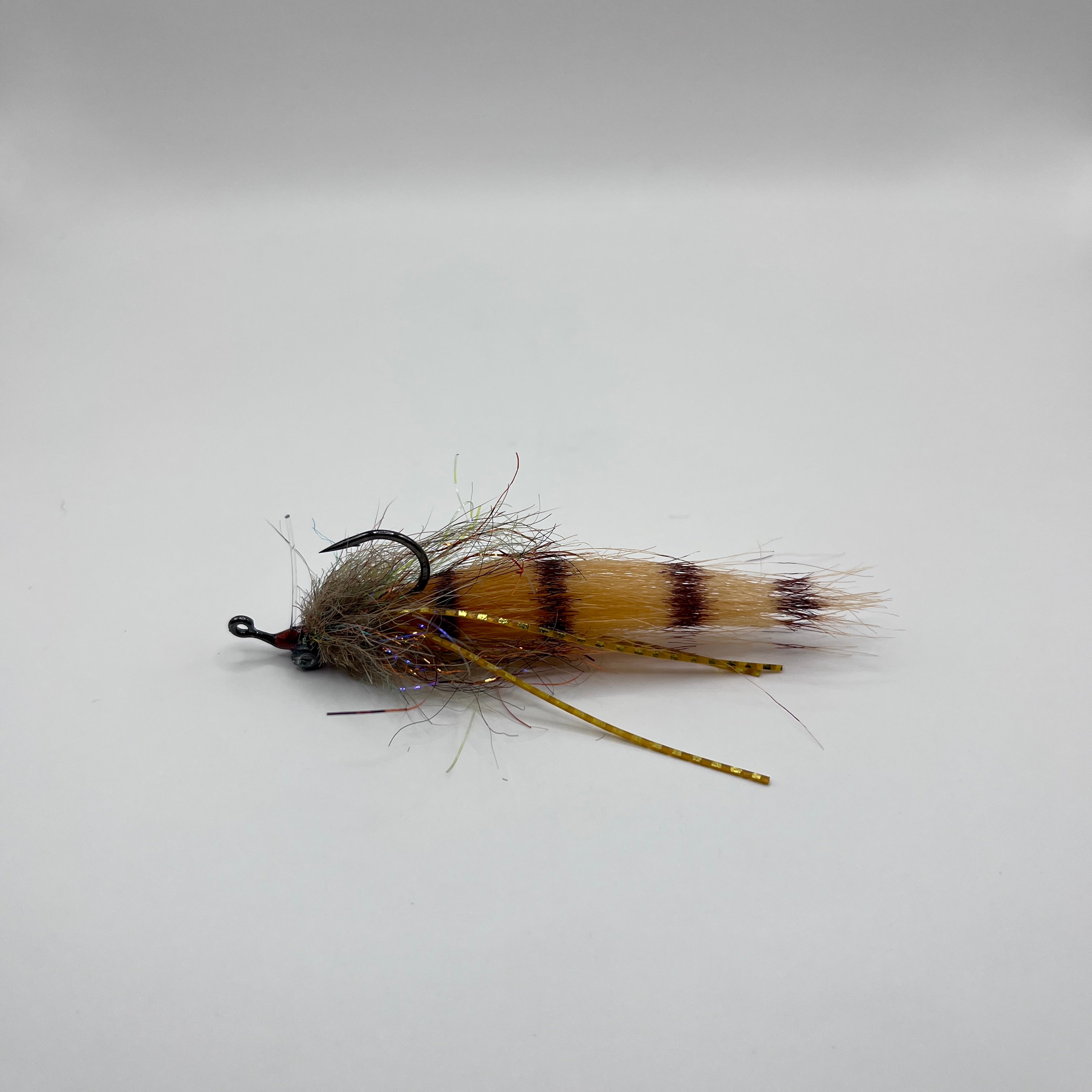 Pistol Shrimp