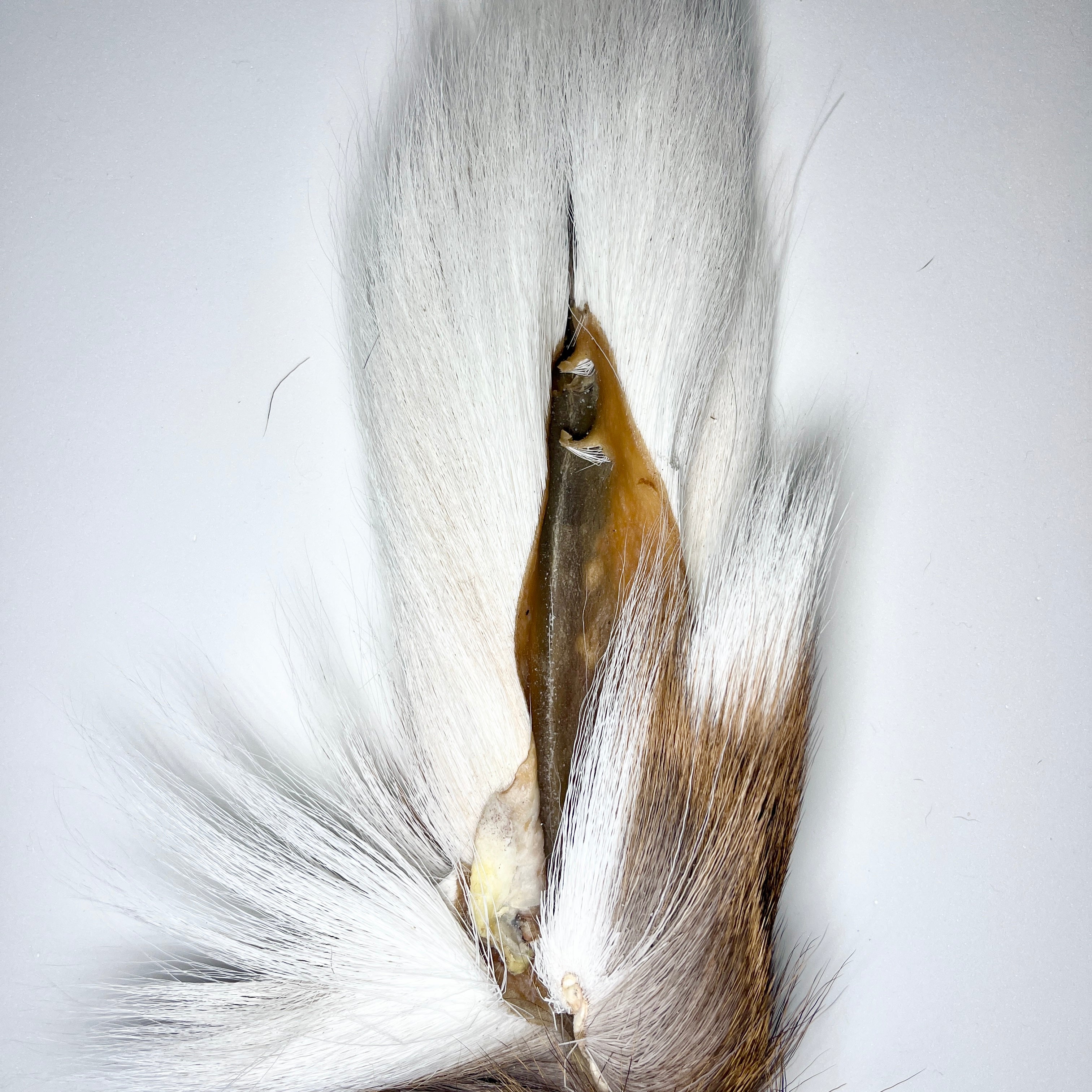 Large Bucktail