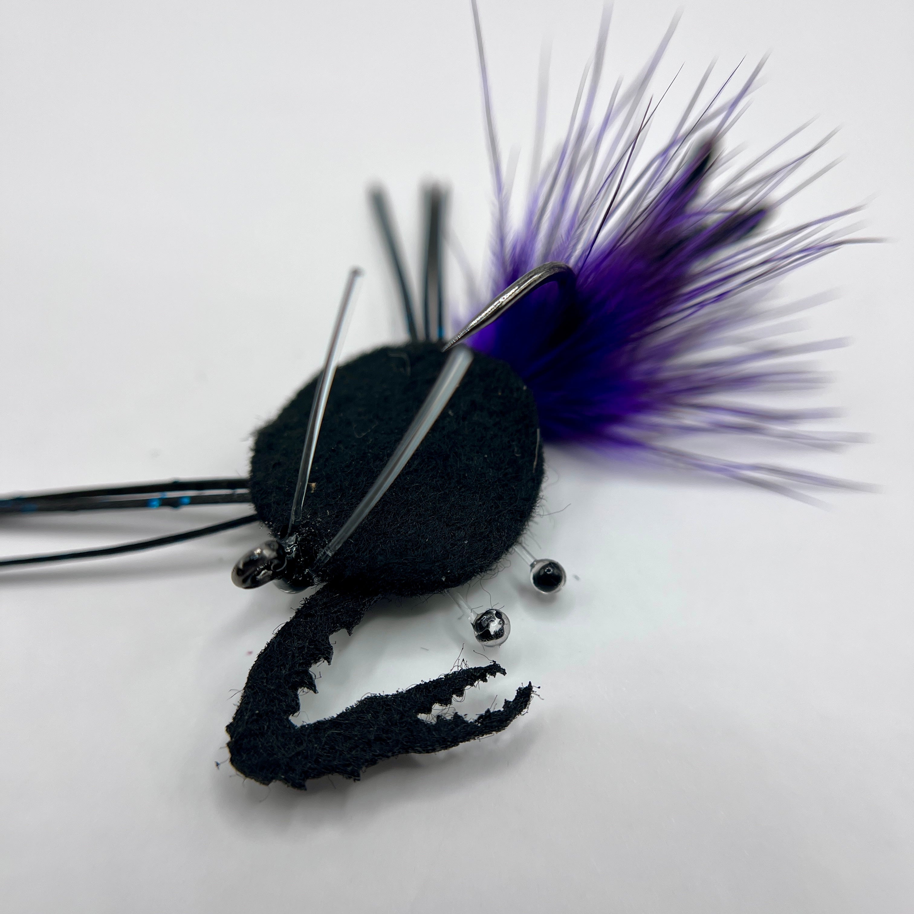 Dimeback Crab