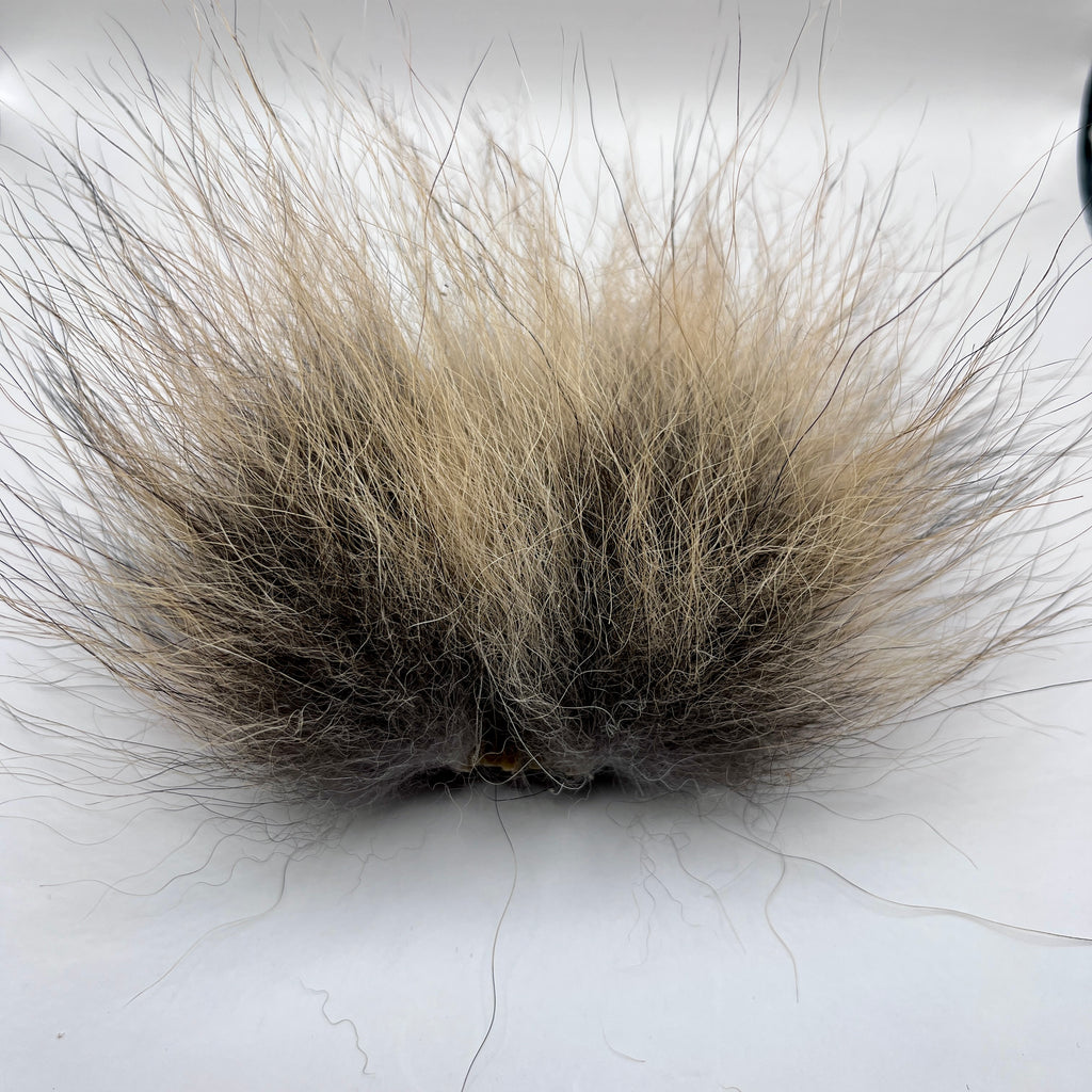 Coyote Tail