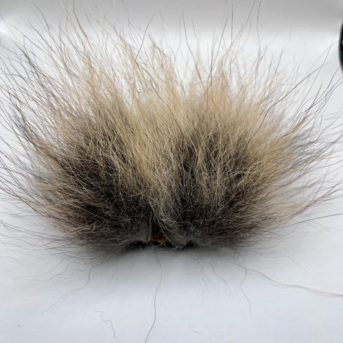 Coyote Tail