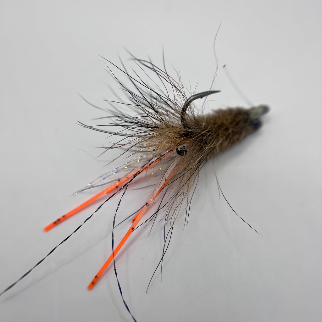Coyote Tail