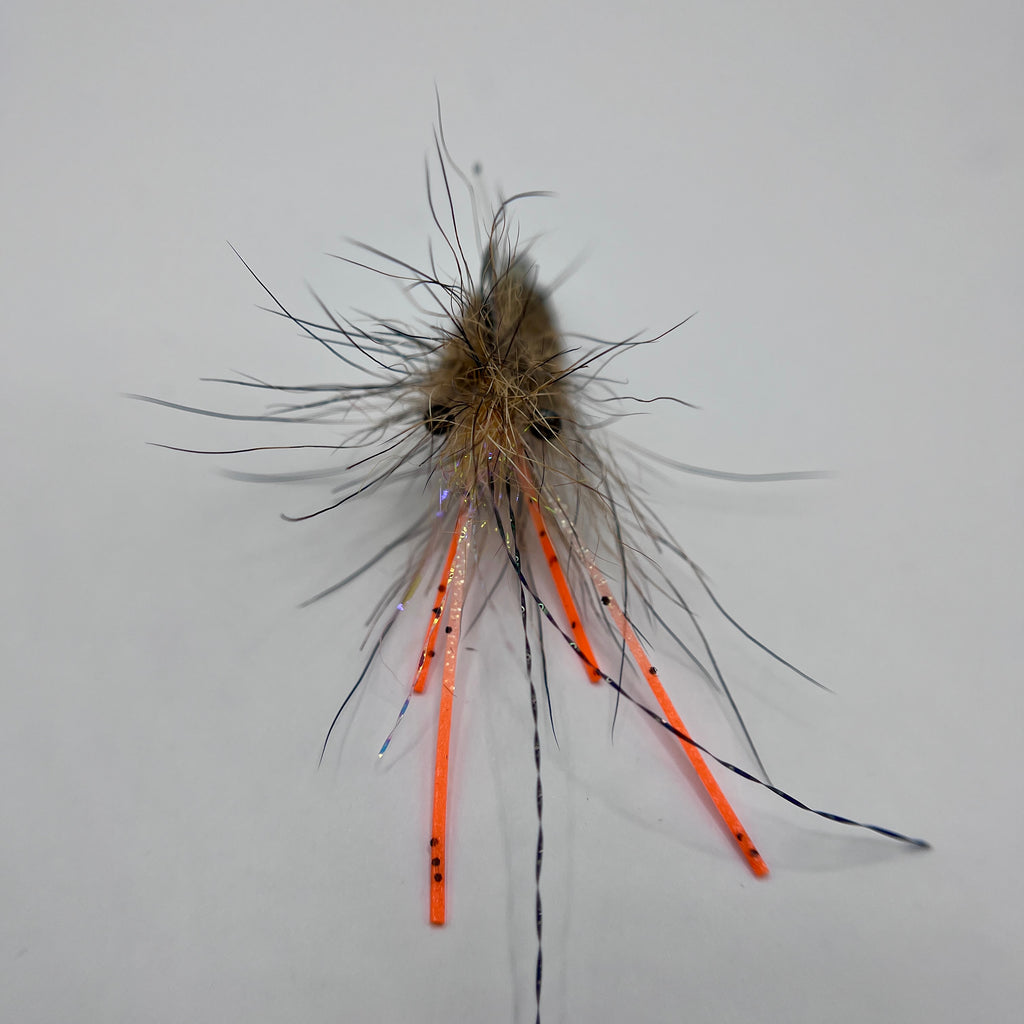 Howlin’ Shrimp