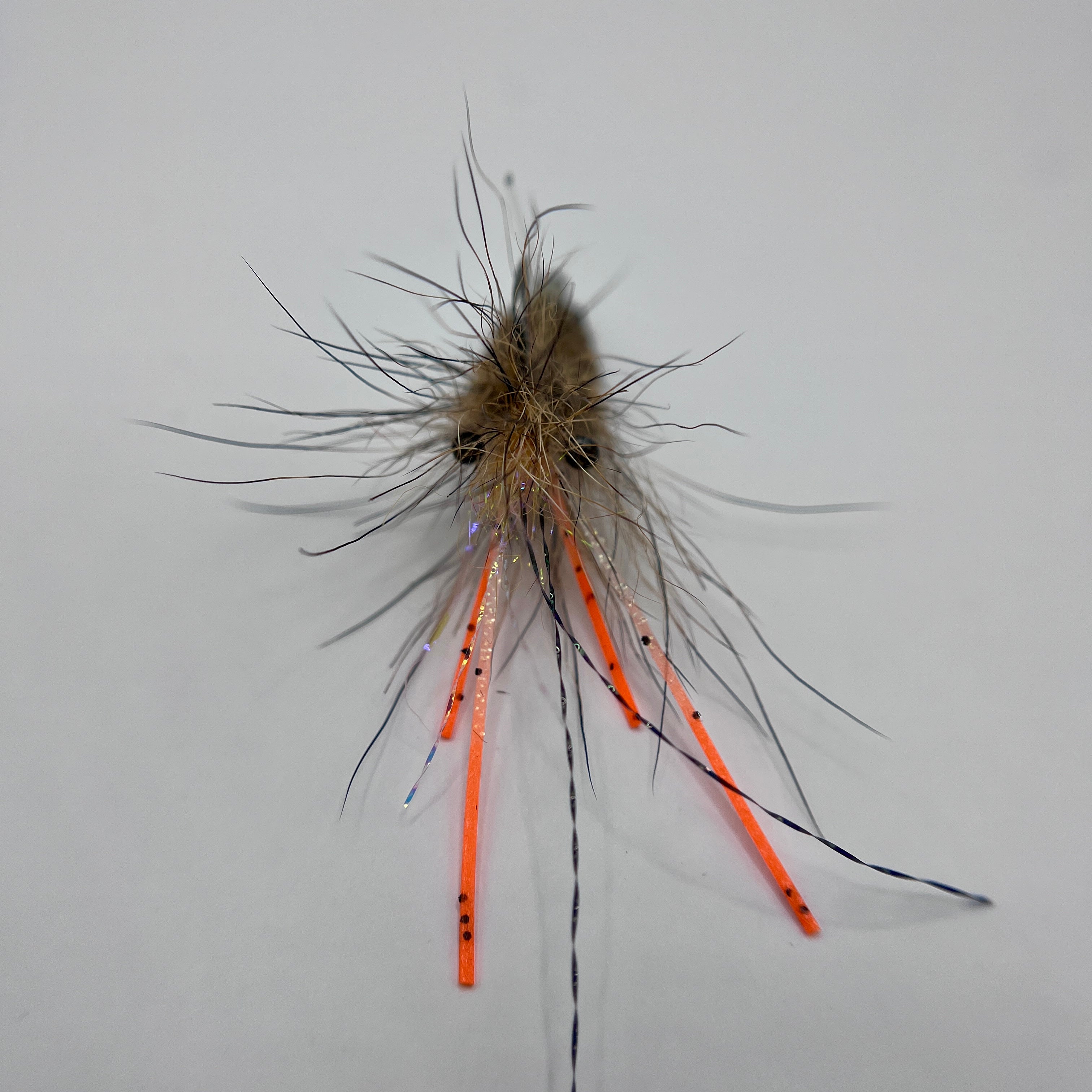 Howlin’ Shrimp