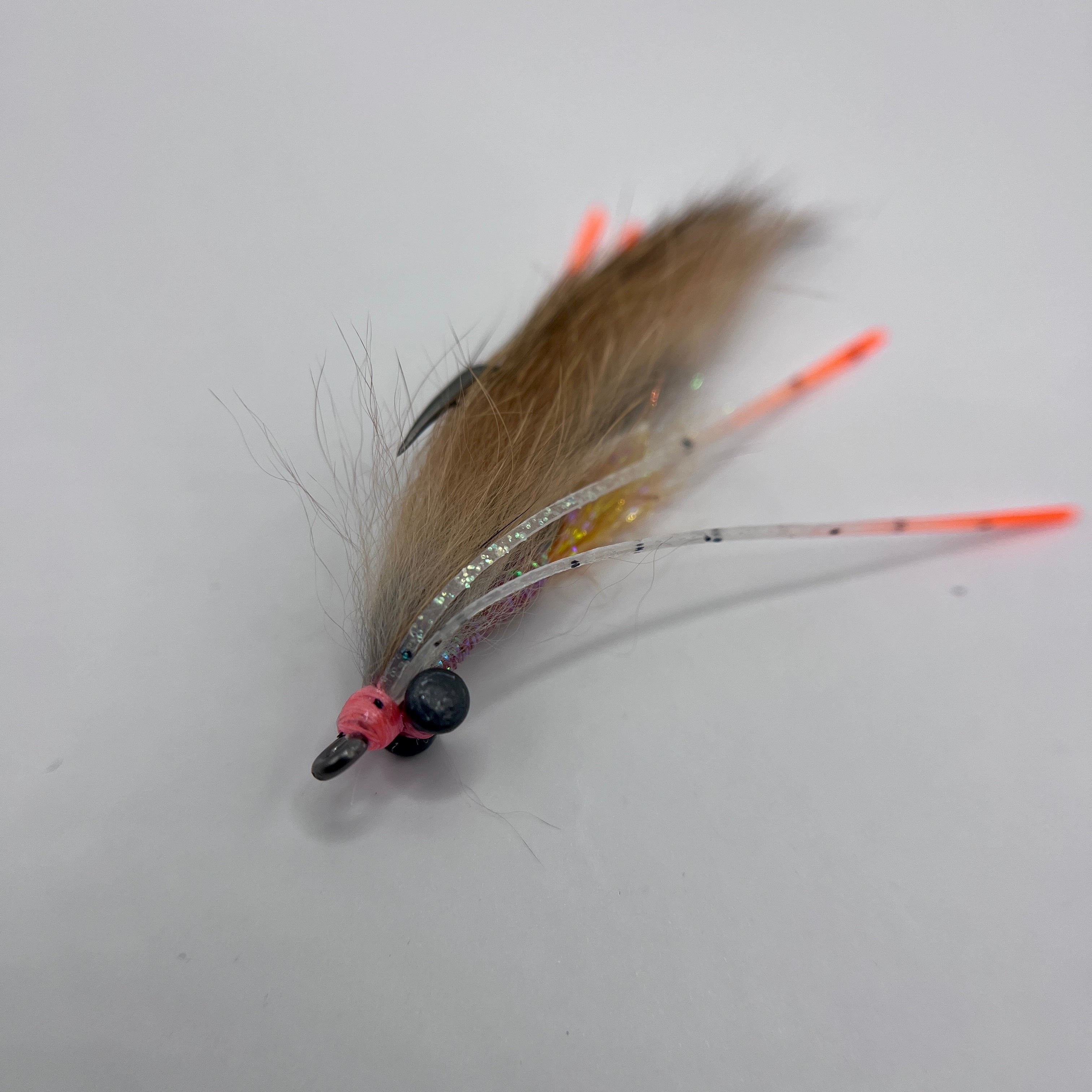 Tailwater Shrimp