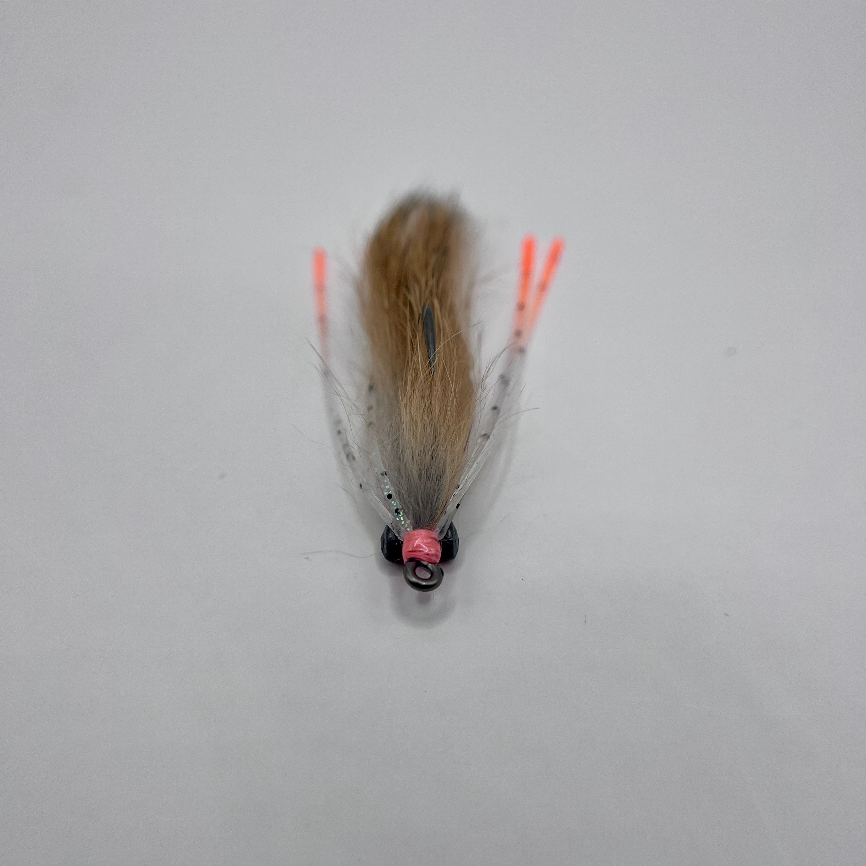 Tailwater Shrimp