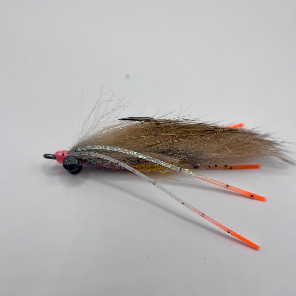 Tailwater Shrimp