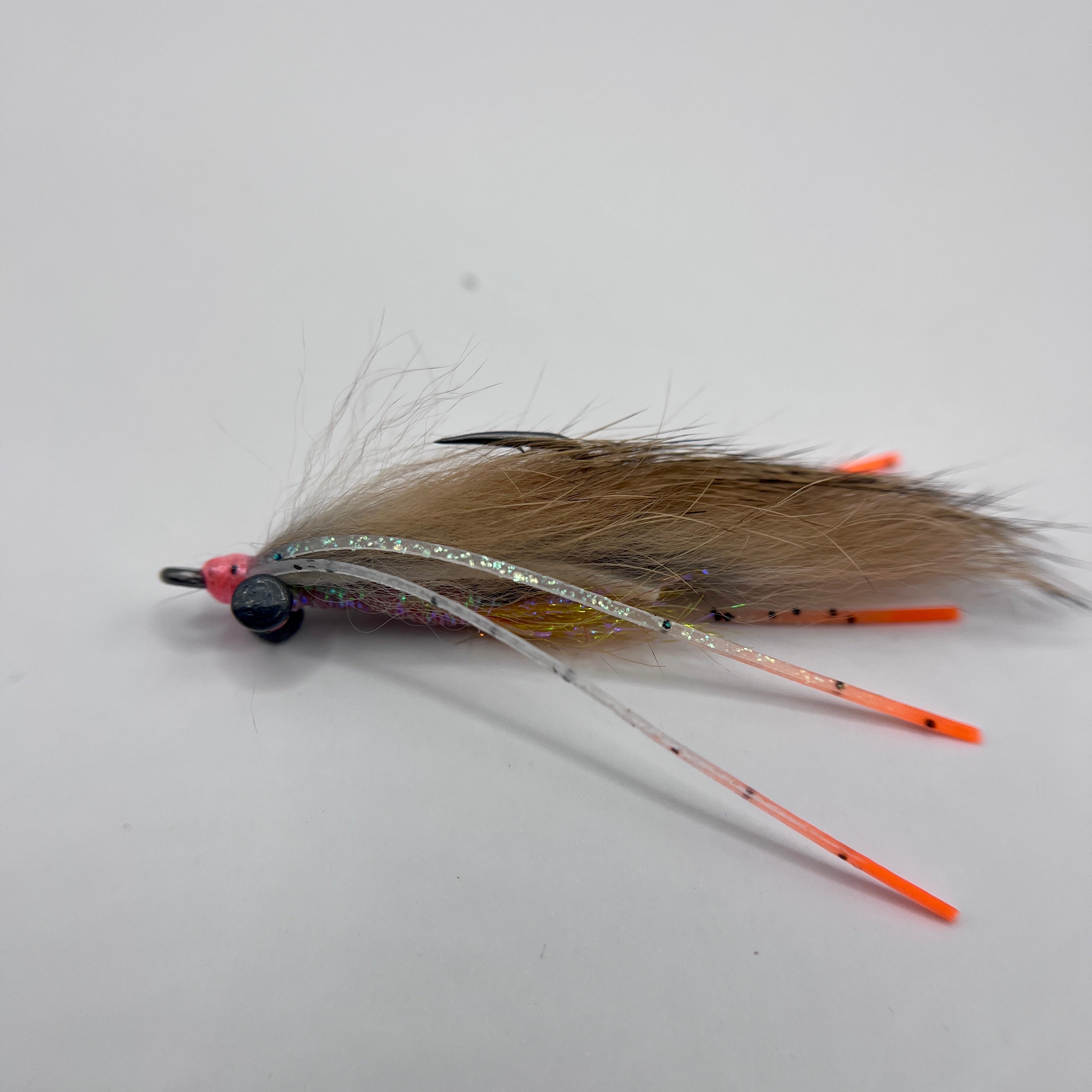 Tailwater Shrimp