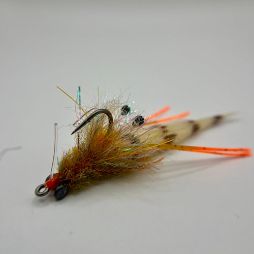 Cypress Shrimp