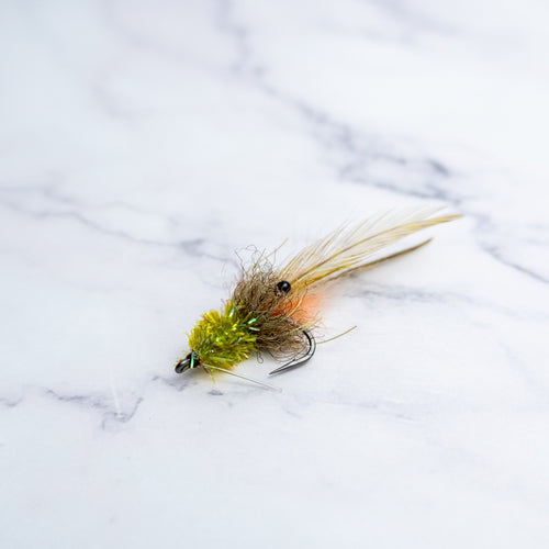Bull Shrimp