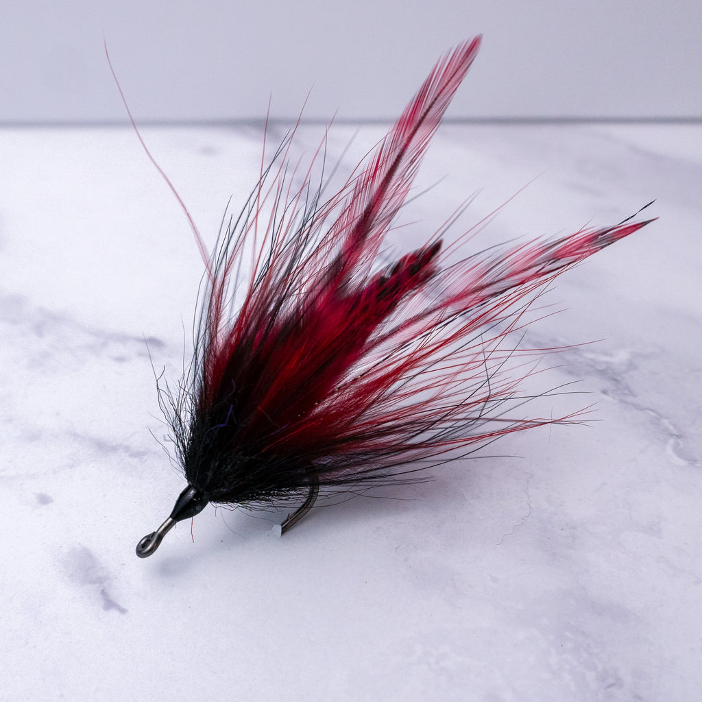 Black and red Southern Roach tarpon fly pattern tied on a saltwater streamer hook with flowing natural hair and saddle hackles.